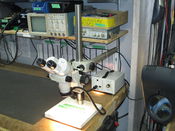 Binoc microscope.jpg